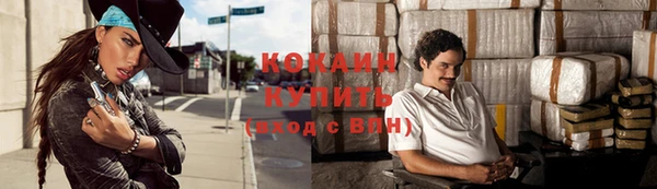 стаф Аркадак