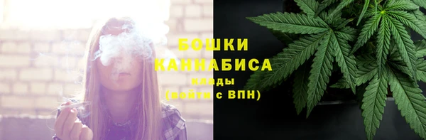 стаф Аркадак