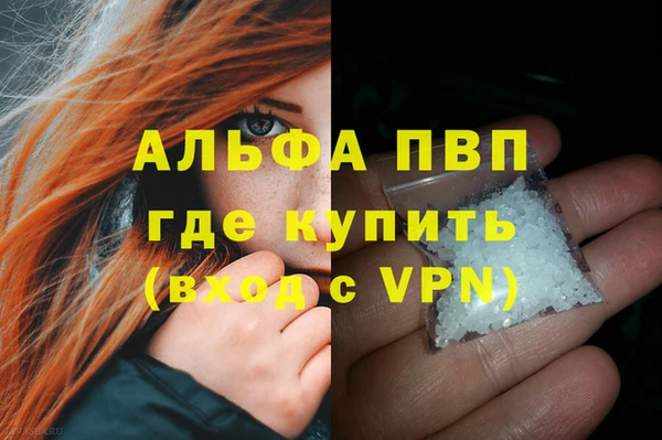 стаф Аркадак