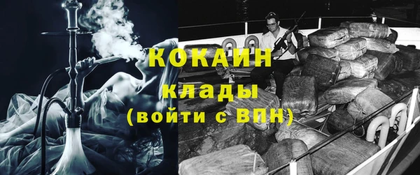 стаф Аркадак