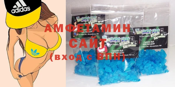 стаф Аркадак