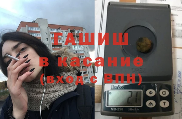 стаф Аркадак