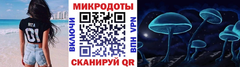 Псилоцибиновые грибы Psilocybine cubensis  Армянск 